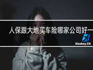 人保跟大地买车险哪家公司好一点
