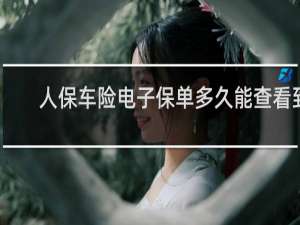 人保车险电子保单多久能查看到