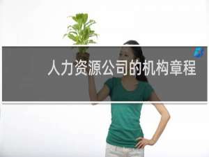 人力资源公司的机构章程