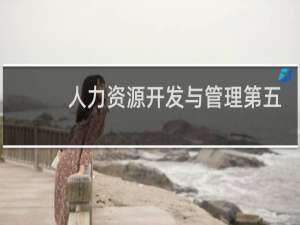 人力资源开发与管理第五版