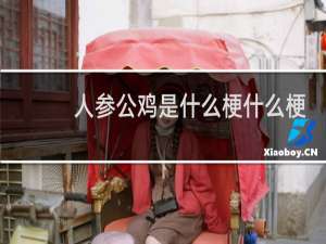 人参公鸡是什么梗什么梗