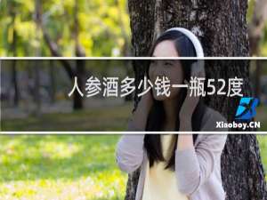 人参酒多少钱一瓶52度