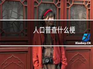 人口普查什么梗