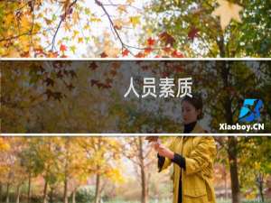 人员素质