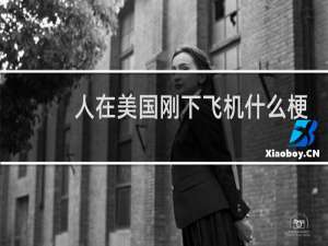 人在美国刚下飞机什么梗