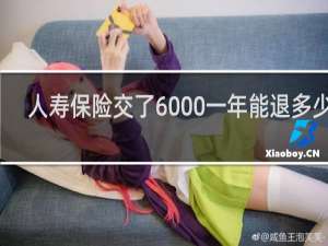 人寿保险交了6000一年能退多少钱