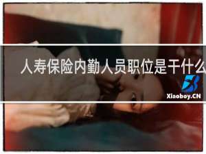 人寿保险内勤人员职位是干什么的