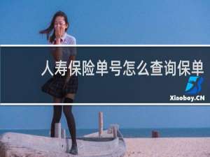 人寿保险单号怎么查询保单
