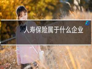 人寿保险属于什么企业