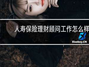 人寿保险理财顾问工作怎么样