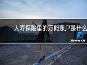 人寿保险里的万能账户是什么