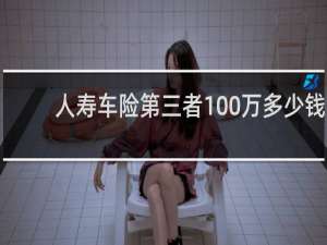 人寿车险第三者100万多少钱