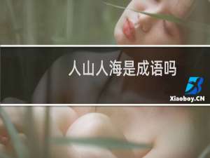 人山人海是成语吗