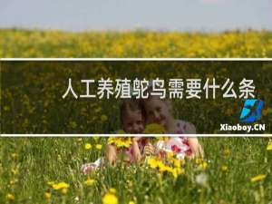 人工养殖鸵鸟需要什么条件
