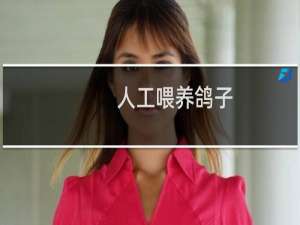 人工喂养鸽子