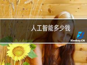 人工智能多少钱