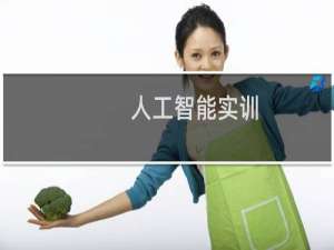 人工智能实训