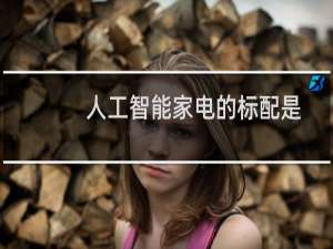 人工智能家電的標配是