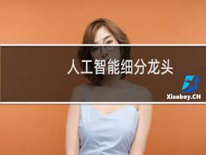 人工智能细分龙头