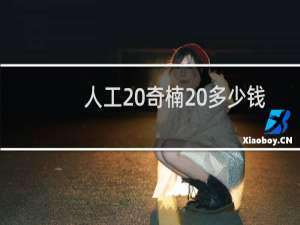 人工 奇楠 多少钱