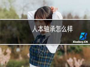 人本轴承怎么样