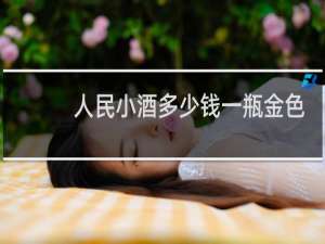 人民小酒多少钱一瓶金色