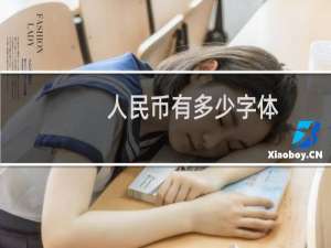 人民币有多少字体