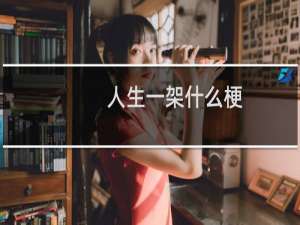 人生一架什么梗？什么梗