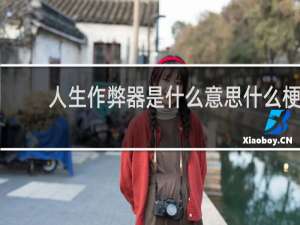 人生作弊器是什么意思什么梗