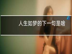 人生如梦的下一句是啥（人生如梦的下一句是什么）
