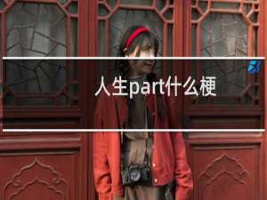 人生part什么梗