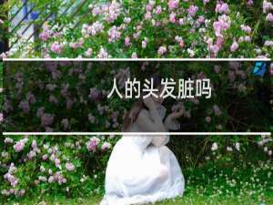 人的头发脏吗