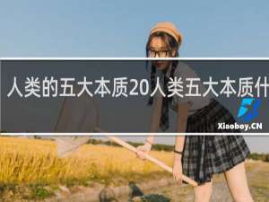 人类的五大本质 人类五大本质什么梗
