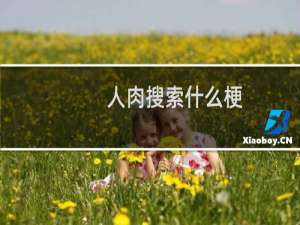 人肉搜索什么梗
