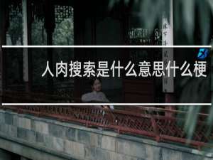 人肉搜索是什么意思什么梗