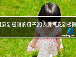 人脾气忍到极限的句子 人脾气忍到极限的句子精选