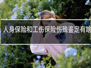 人身保险和工伤保险伤残鉴定有啥区别