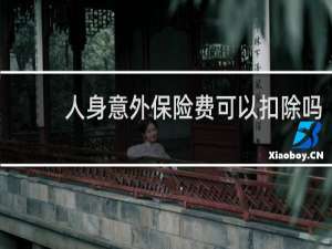 人身意外保险费可以扣除吗