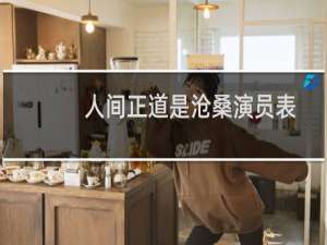 人间正道是沧桑演员表