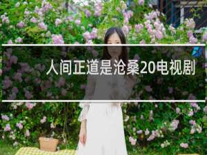 人间正道是沧桑 电视剧
