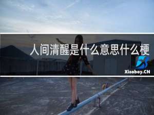 人间清醒是什么意思什么梗