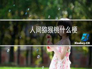 人间猕猴桃什么梗