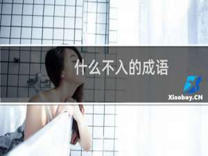 什么不入的成语