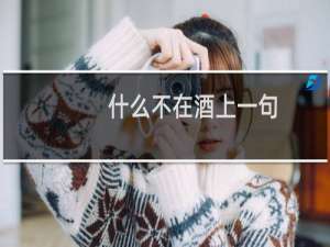 什么不在酒上一句