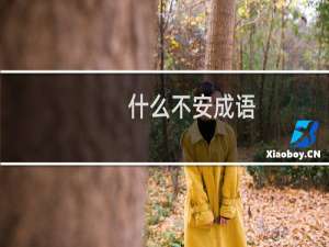 什么不安成语