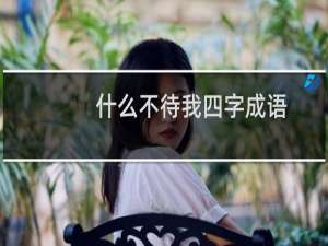什么不待我四字成语
