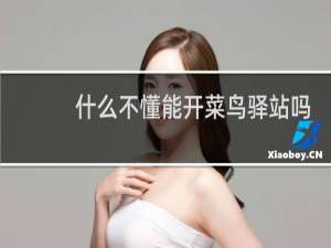 什么不懂能开菜鸟驿站吗