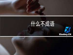 什么不成语