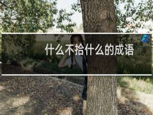 什么不拾什么的成语