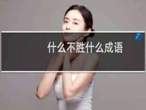 什么不胜什么成语